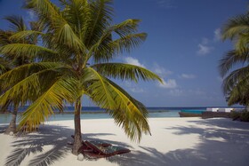 Coco Bodu Hithi