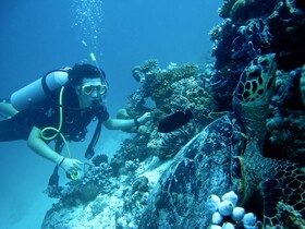 Coco Bodu Hithi