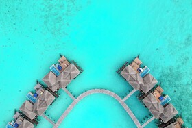 Coco Bodu Hithi