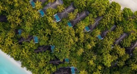 Coco Bodu Hithi