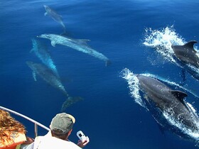 Batuta Maldives Fourson