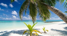 Summer Island Maldives