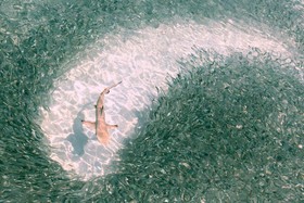 Mirihi Island Resort