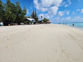 Coquillage Inn