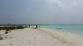 Equity Beach Inn