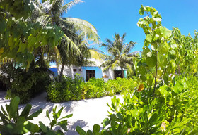 Ithaa Beach Maldives