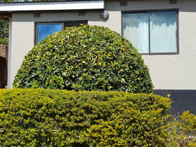 Chinyonga Guesthouse
