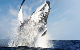 Playa Grande Resort & Grand Spa