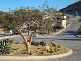 Cabo Marina Beach Condos