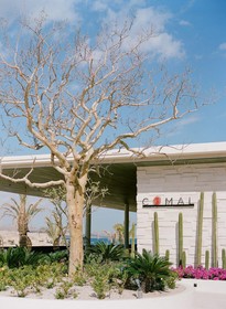 Chileno Bay Resort & Residences