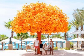 Garza Blanca Resort & Spa Los Cabos