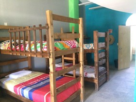 Hostel Baja's Cactus