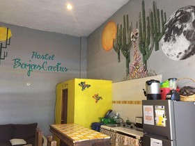 Hostel Baja's Cactus