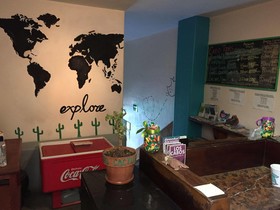 Hostel Baja's Cactus