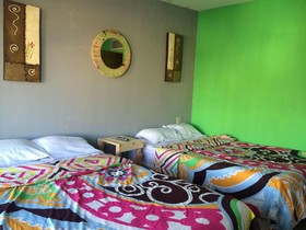Hostel Baja's Cactus