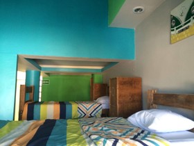 Hostel Baja's Cactus