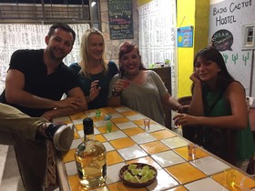 Hostel Baja's Cactus
