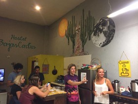 Hostel Baja's Cactus