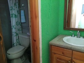 Hostel Baja's Cactus