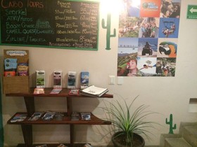 Hostel Baja's Cactus