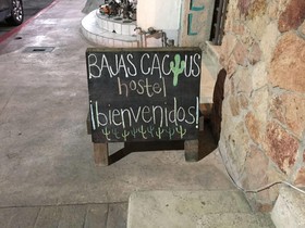 Hostel Baja's Cactus