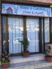 Hostel Baja's Cactus