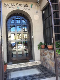 Hostel Baja's Cactus