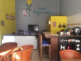 Hostel Baja's Cactus