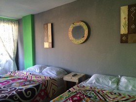 Hostel Baja's Cactus