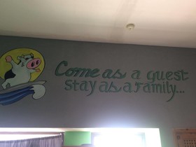 Hostel Baja's Cactus
