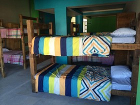 Hostel Baja's Cactus