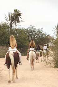 Mayan Monkey Los Cabos
