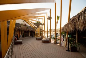 Mayan Monkey Los Cabos