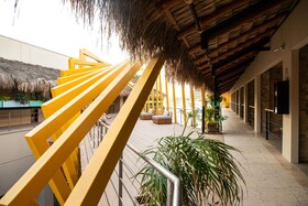 Mayan Monkey Los Cabos