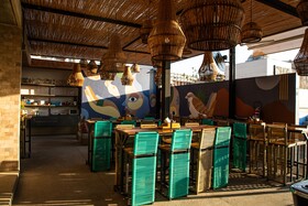 Mayan Monkey Los Cabos