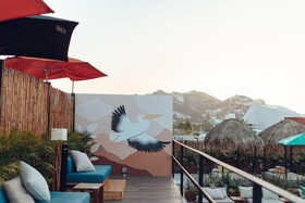 Mayan Monkey Los Cabos