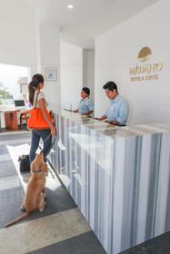 Medano Hotel and Suites