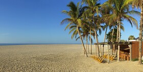 Paradisus Los Cabos - Adults Only