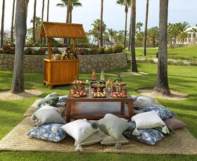 Paradisus Los Cabos - Adults Only