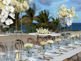 Paradisus Los Cabos - Adults Only