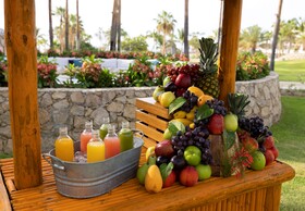 Paradisus Los Cabos - Adults Only