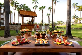 Paradisus Los Cabos - Adults Only