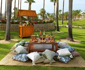 Paradisus Los Cabos - Adults Only