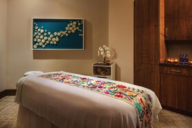 The Westin Los Cabos Resort Villas - Baja Point