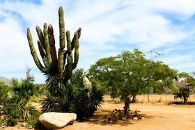 Casitas El Salitral