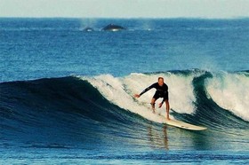 Cerritos Surf Colony