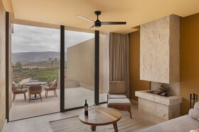 Banyan Tree Veya Valle de Guadalupe