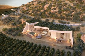 Banyan Tree Veya Valle de Guadalupe