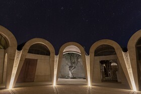 Banyan Tree Veya Valle de Guadalupe