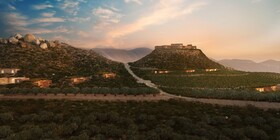 Banyan Tree Veya Valle de Guadalupe
